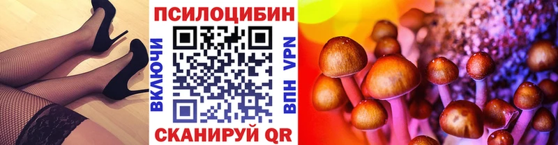 Галлюциногенные грибы мицелий  Купить где  Петухово 