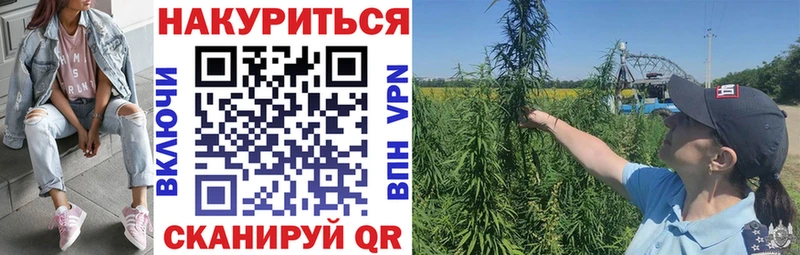Каннабис планчик  Купить где  Петухово 